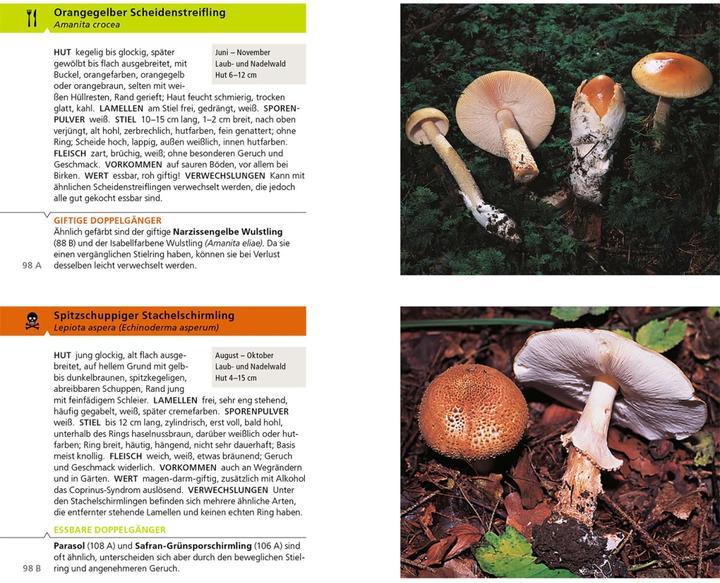 Actual product image Kosmos Essbare Pilze und ihre giftigen Doppelgänger (German, Hans E. Laux, Andreas Gminder, 2022)
