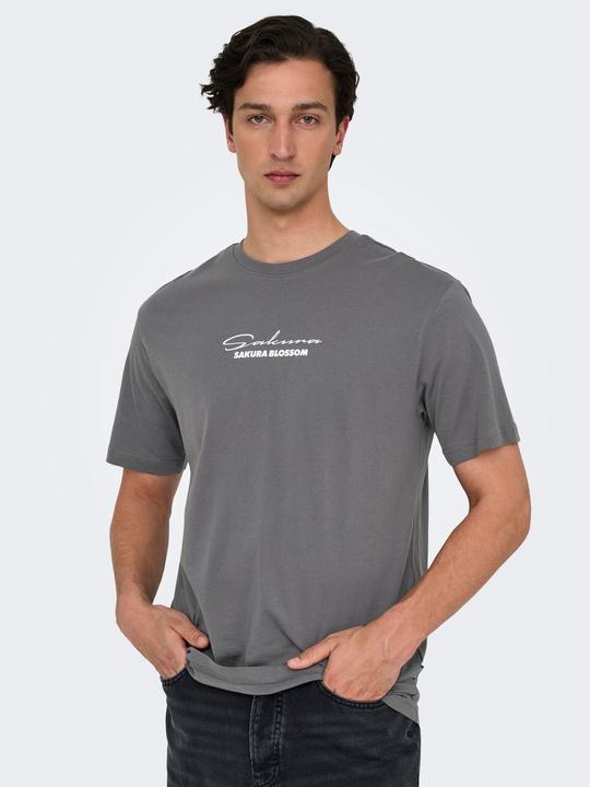 Produktbild Only & Sons Onskeane Rlx Ss Print Tee Noos (M)