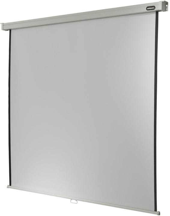 Actual product image Celexon Rollo Professional, Canvas, 1:1 (87.68", 1:1)