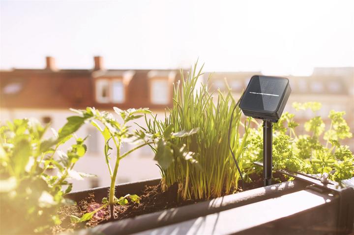 Actual product image Paulmann Solar (Multicoloured, 300 cm, Indoor)