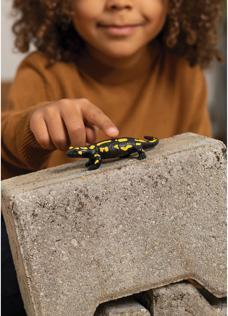Image du produit Schleich Salamandre tachetée