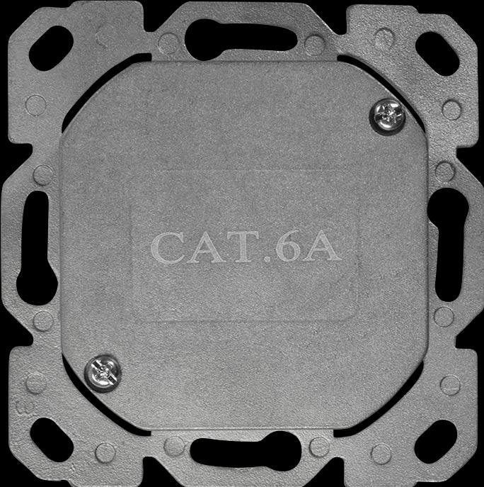 Produktbild LogiLink Cat.6A Netzwerkdose UP 2 x RJ45 geschirmt, signalweiss, senkrechte Kabelzuführung