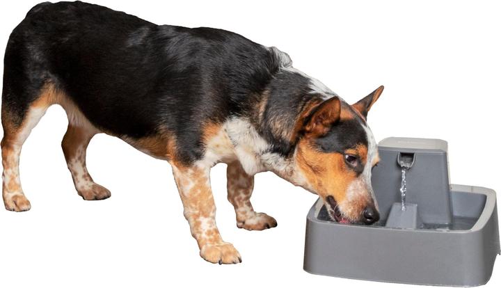 Immagine prodotto Sportdog Fontana per animali domestici Drinkwell da 3,7 litri - Adattatore UE (3.70 l)