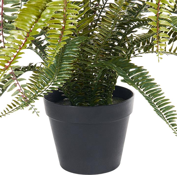 Actual product image Beliani Fern Leaf Plans (105 cm)