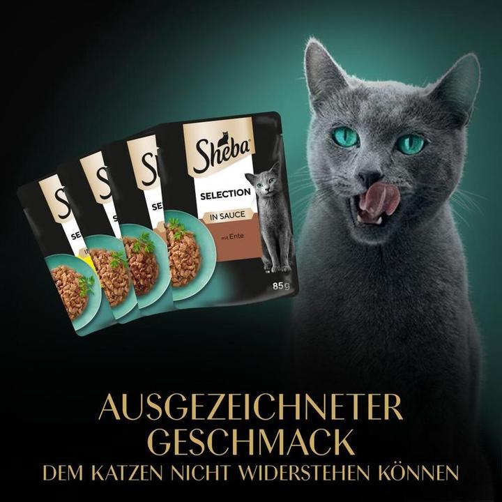 Actual product image Sheba Selection in sauce (Adult, 40 pcs., 3400 g)