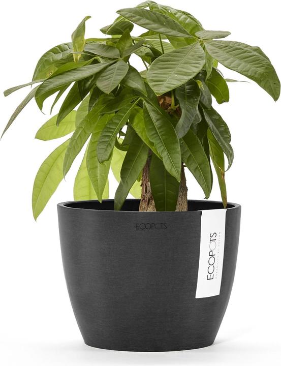 Actual product image Ecopots Stockholm (16 cm)