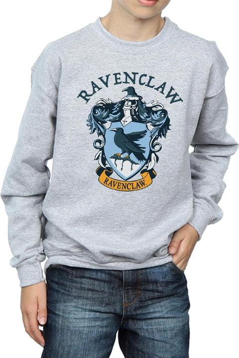 Image du produit - Sweat - Garçon (116)