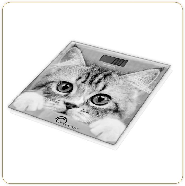 Little Balance The Cat (180 kg)
