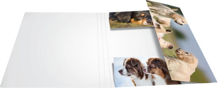Actual product image HERMA A4 motif folder (A4, 1 x)
