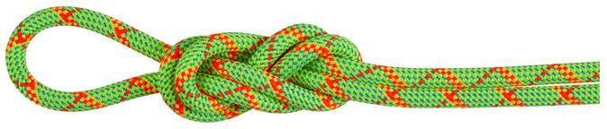 Immagine prodotto Mammut 8.0 Alpine Core Protect Corda asciutta (30 m)