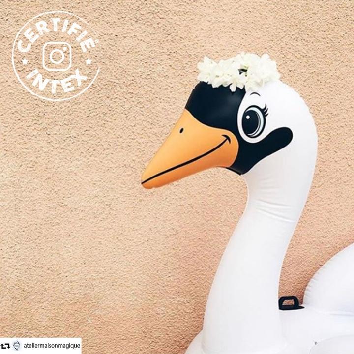 Produktbild Intex Swan ride-on