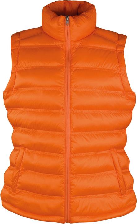 Actual product image Result Womens/Ladies Ice Bird Padded Gilet (40 D)