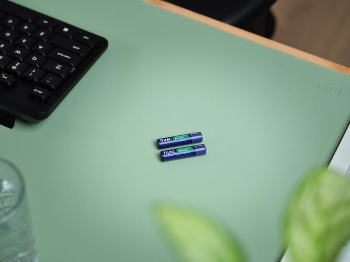 Immagine prodotto Trust Batterie Ricaricabili USB-C 2p (2 pz., AAA, 500 mAh)
