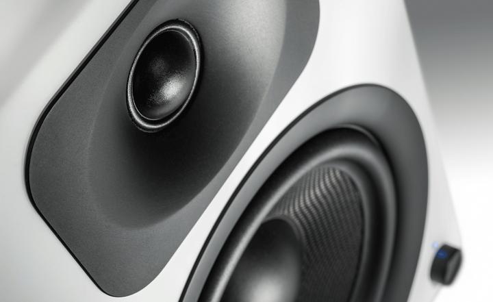 Actual product image Wavemaster Two Pro (1 pair, 110 W)