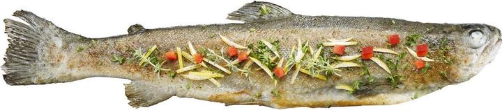 Actual product image GEFU Fish holder BBQ