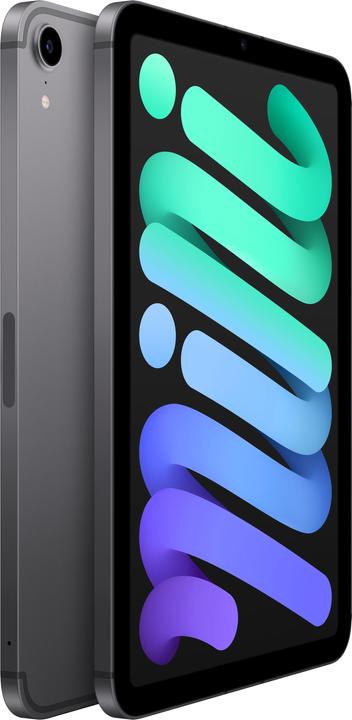 Actual product image Apple iPad mini 2021 (6.Gen) (5G, 8.30", 256 GB, Space grey)