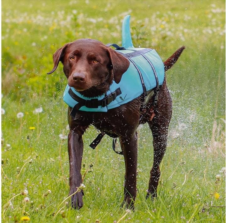Actual product image Nobby Sharki (M, Dog life jacket)