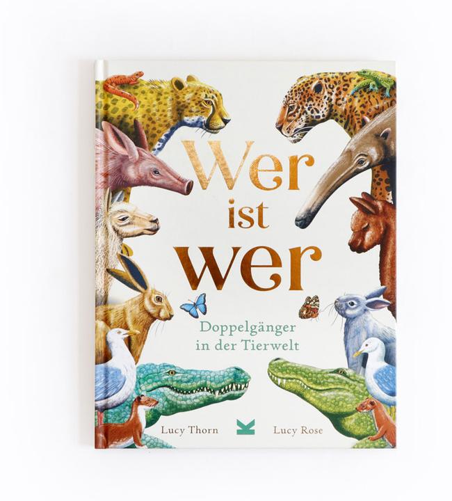 Produktbild Wer ist wer? (Deutsch, Lucy Thorn, Sarah Pasquay, Lucy Rose, 2024)