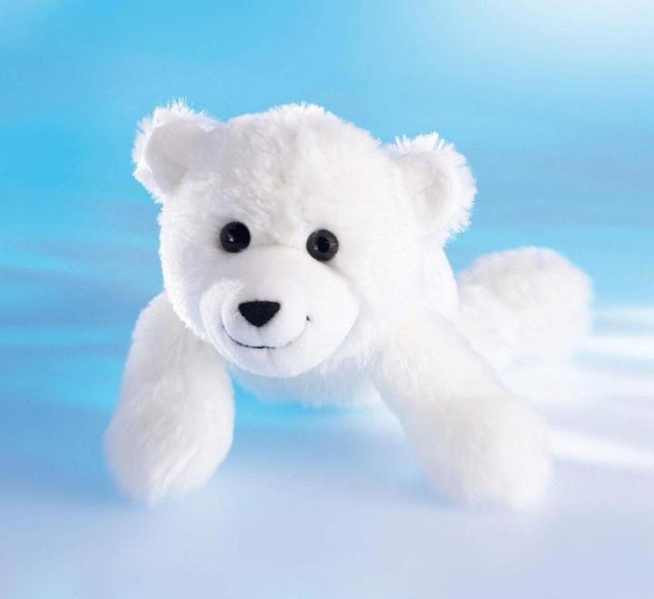 Image du produit Schaffer Ours polaire Knut Cuddle (26 cm)