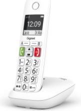 Actual product image Gigaset E290 Duo