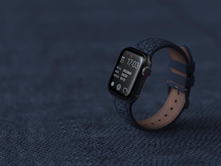 Immagine prodotto Njord Cinturino Per Orologio Vatn Per (40 mm, 41 mm, Pelle di salmone, Chiusura in acciaio inox, Pelle Vegan)