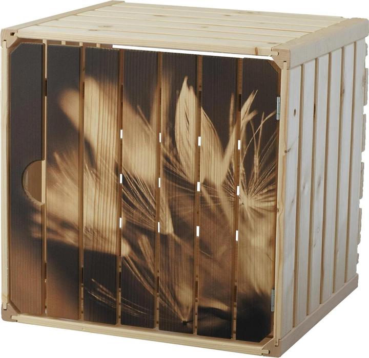 Holz Zollhaus Holzharasse Pusteblume mit Tür, 35 x 35 cm (35 x 35 x 35 cm, 0.04 l)