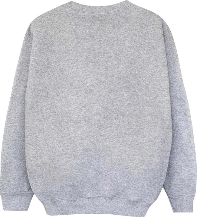 Actual product image Womens/Ladies The Amazing Spider-Man Sweatshirt (XXL)