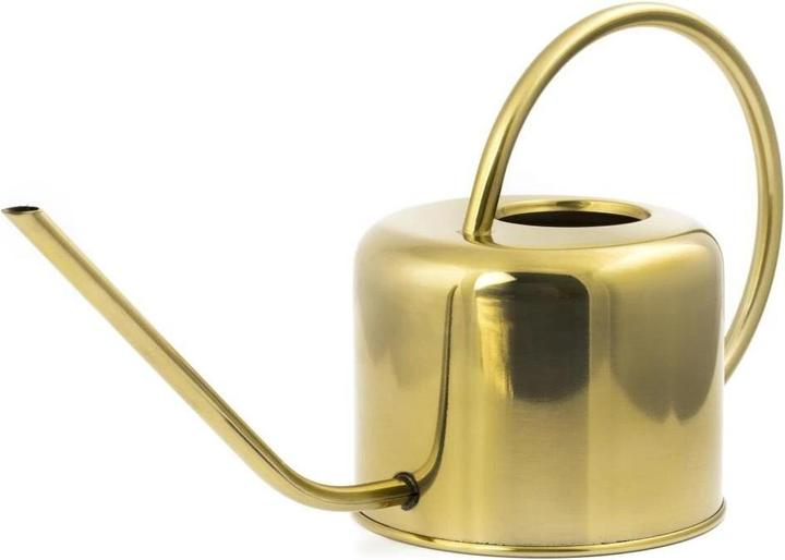 Actual product image Kikkerland Vintage Watering Can (1.20 l)