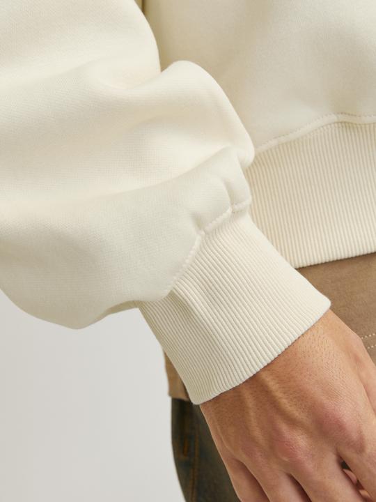Immagine prodotto Jack & Jones Jcoconcept Sweat Hood (L)