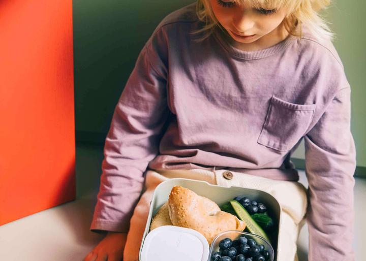Image du produit Little Dutch Bento Lunchbox Campus Gross - Fairy Garden
