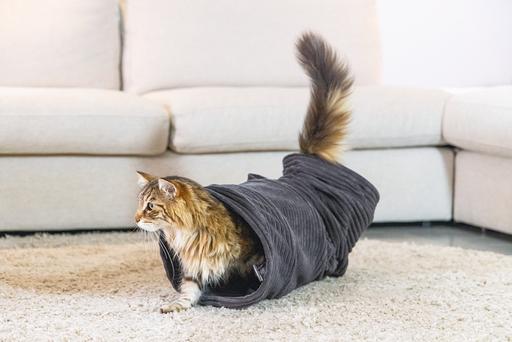 Actual product image Designed by Lotte Ribbed cat tunnel (Cat tunnel)