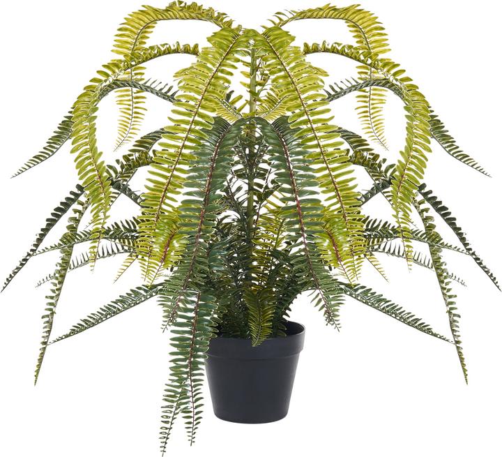 Actual product image Beliani Fern Leaf Plans (105 cm)