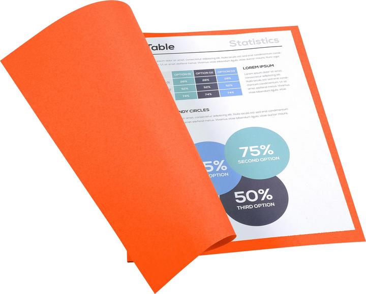 Actual product image Exacompta Collection folders - File covers (24 x 32 cm, 50 x)