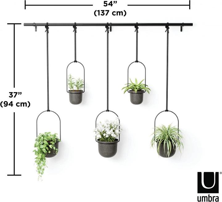 Actual product image Umbra Triflora (137 cm)
