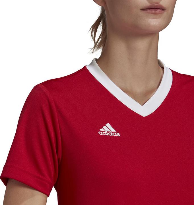 Actual product image adidas Entrada 22 Women's Football Shirt (M)