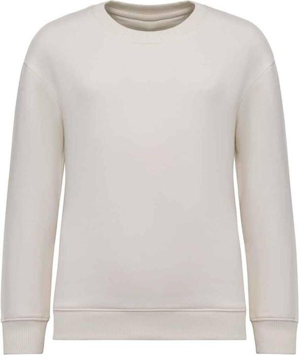 Native Spirit Sweatshirt Rundhalsausschnitt