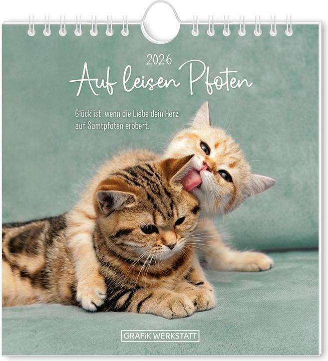 Actual product image Postkartenkalender 2026 Auf leisen Pfot (16 x 17 cm, German)