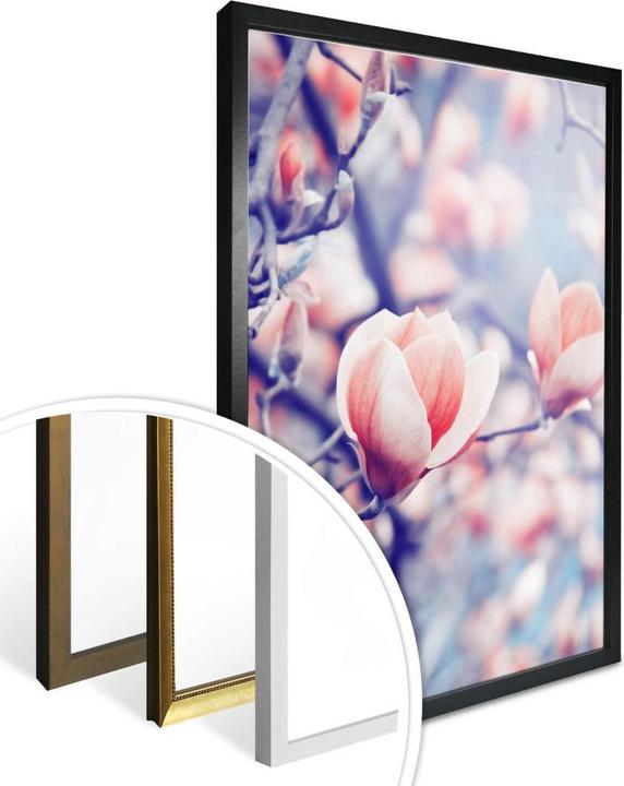 Image du produit Trenddeko Bourgeon de magnolia (40 x 50 cm)