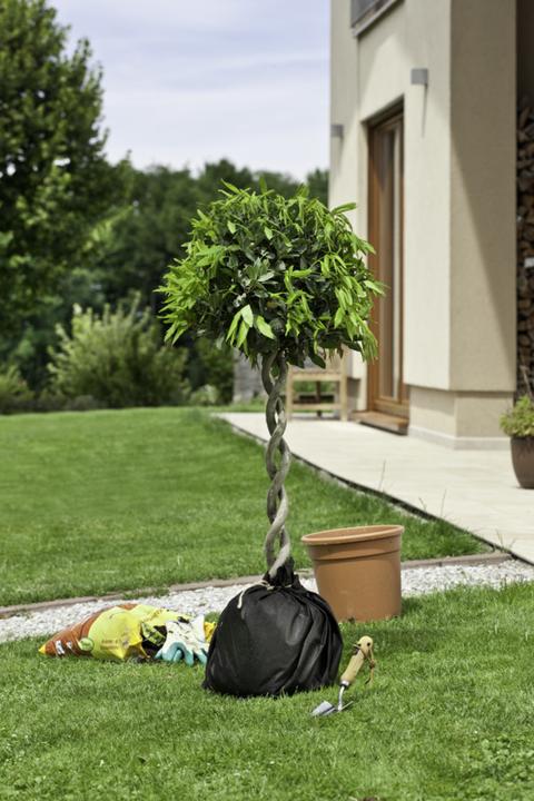 Actual product image Windhager Separating fleece for pots