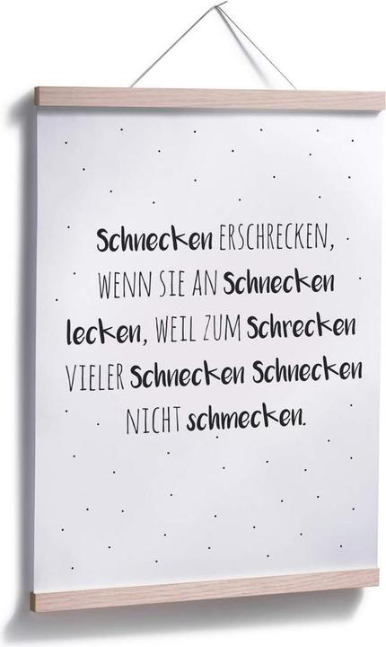 Immagine prodotto Trenddeko Scioglilingua - spaventare le lumache (24 x 30 cm)