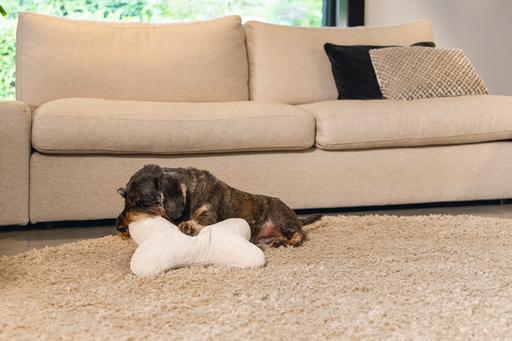 Image du produit Designed by Lotte Os de coussin (Chien)