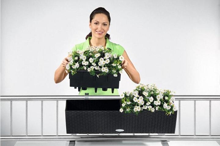 Produktbild Lechuza Balconera Cottage (19 cm)