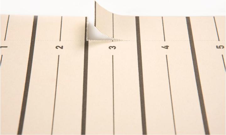 Produktbild Pagna Trennblatt Easy Rip DIN A4 Kraftkarton recycelt chamois schwarz 100 St./Pack.