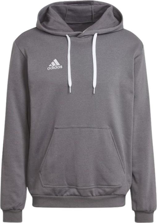Actual product image adidas Entrada 22 hoodie men (XL)