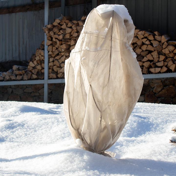 Actual product image Toboli 2x Winter Cover for Plants 80x100cm Non-woven Frost Protection Fleece Hood Fleece Cap