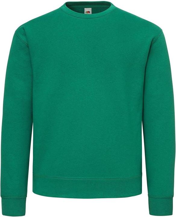 Actual product image Fruit of the Loom Unisex Adult Supercotton Sweatshirt (L)