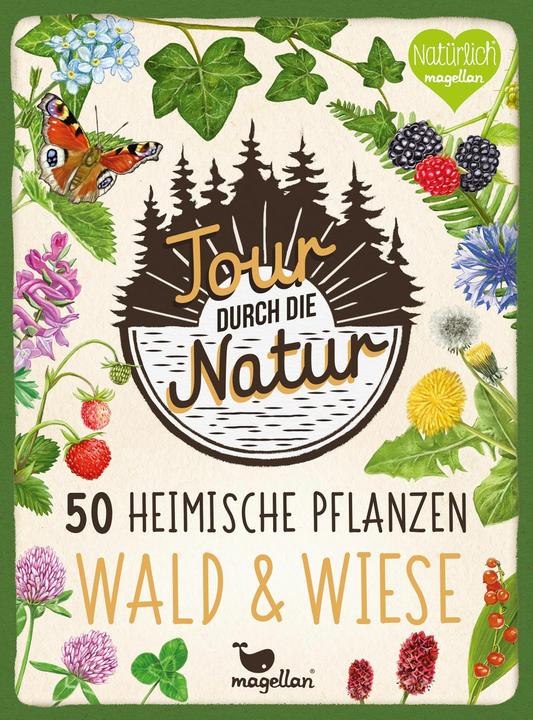 Produktbild Tour durch die Natur - 50 heimische Pflanzen - Wald und Wiese (Deutsch)