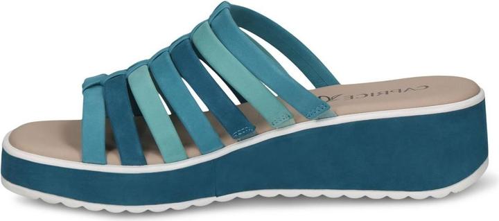 Pettine blu