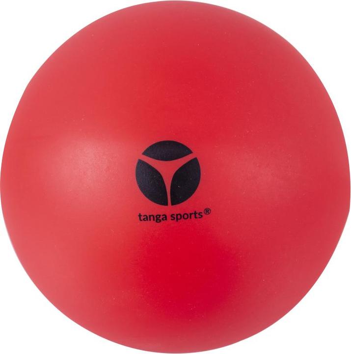 Actual product image Tanga Sports ® Gymnastikball Training