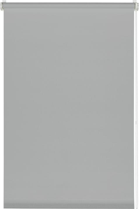 Grigio chiaro